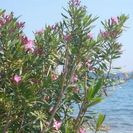 Апартаменты Mit Terrasse Im Ersten Stock Des Hauses By Interhome *